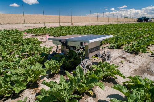 创企Aigen希望其农业技术机器人能让农业实现负碳化